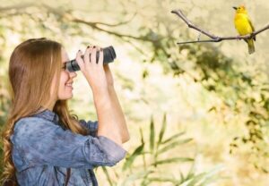 Best 10x42 Binoculars for Bird Watching