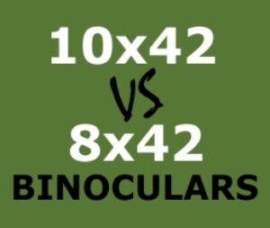 Which is Better 10x42 or 8x42 Binoculars?