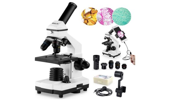 What are the 5 Types of Microscopes and their Uses/Functions?