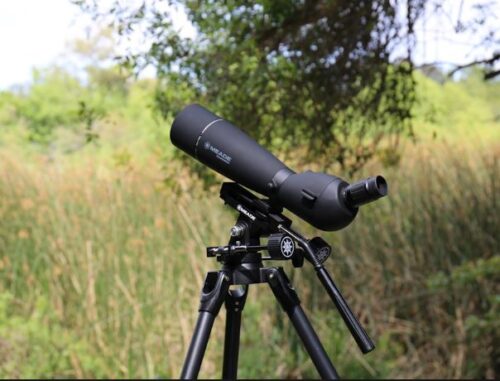 best spotting scope tripod for birding